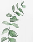 Poster - Watercolor greenery branch