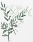 Plakat - Watercolor laurel branch