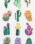 Poster - Collection of cacti