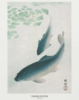 Plakat - Carp Or Koi - Admen.dk