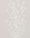 Poster - Garran branch in beige