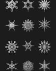 Plakat - Twelve geometric snowflakes in black