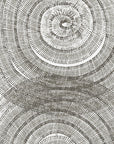 Poster - Tree Age