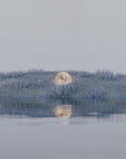 Plakat - Surreal Landscape - Admen.dk