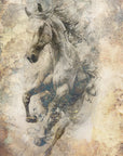 Plakat - Horse Illustration 02