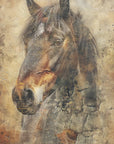 Plakat - Horse Illustration 09