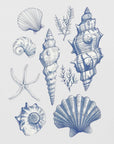 Poster - Shell Collage