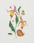 Plakat - Lady&
