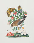 Plakat - Northern Wheatear - Admen.dk
