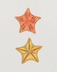 Plakat - Carved Asterias - Admen.dk