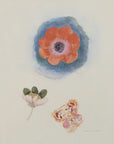 Plakat - Etude de fleurs - Admen.dk