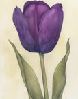 Poster - Purple Tulip 7