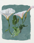 Plakat - Morning Glory