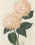 Poster - Coral hydrangeas in a vase