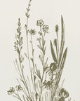 Plakat - Wildflowers ink sketch