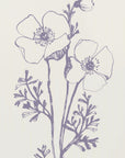 Poster - Poppies ink sketch