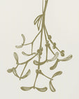 Plakat - Mistletoe ink sketch (olive green)