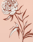 Plakat - Loose peony ink sketch (pink)