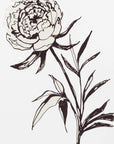 Poster - Loose peony ink sketch
