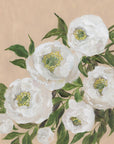 Plakat - Evadne peonies in coral