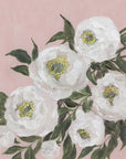 Poster - Evadne peonies in pink