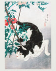 Plakat - Cat With Tomato Plant (1931) - Admen.dk