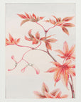 Plakat - Branch of Momiji Maple Tree With Leaves and Seeds During - Admen.dk