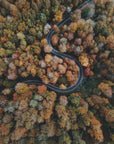 Akustik - Autumn Forest 18 - Admen.dk
