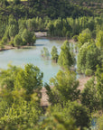 Plakat - Forest Lake - Admen.dk