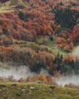 Plakat - Foggy Mountains 02 - Admen.dk