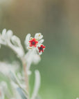 Plakat - Red Flowers 50 - Admen.dk