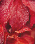 Plakat - Red Flowers 52 - Admen.dk