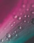 Plakat - Pink Flowers 26 - Admen.dk