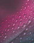 Plakat - Pink Flowers 12 - Admen.dk
