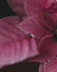 Plakat - Summer Flowers 62 - Admen.dk
