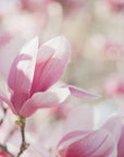 Plakat - Summer Flowers 118 - Admen.dk