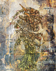 Plakat - Sience Fiction 13