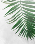 Plakat - Plants 5