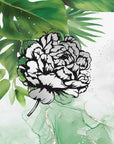 Plakat - Plants 12