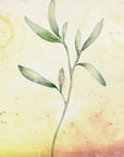 Poster - Plants 21
