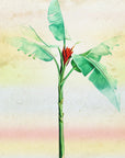 Poster - Plants 32