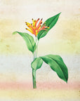 Plakat - Plants 33