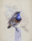 Plakat - The Blue Throat Bird
