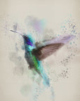 Plakat - The Hummingbird