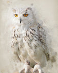 Plakat - The Suspicious Owl