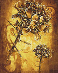 Plakat - Sepia Illustration 76
