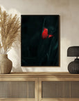 Plakat - Elegant Red Tulip - by Panaana