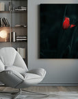 Canvas - Elegant Red Tulip