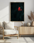 Plakat - Elegant Red Tulip - by Panaana
