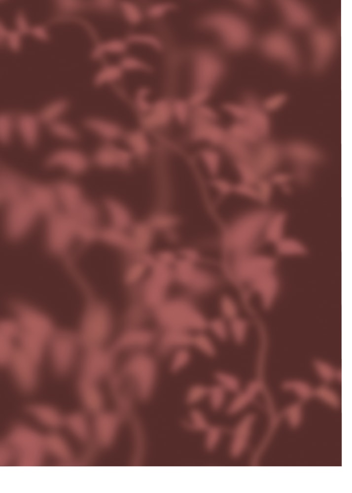 Plakat - Soft Botanical Shadows